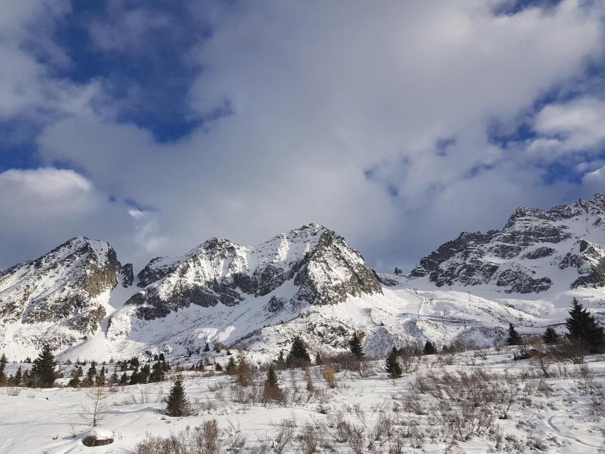 Casa Cucu Lägenhet Passo del Tonale Exteriör bild